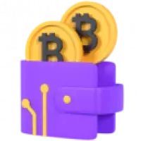 47. Monedero de moneda digital Bitcoin (en línea)