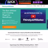 ThirstyAffiliates Mask link Insert your own domain link View link stats wordpress plugin