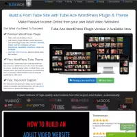 Tubeace wordpress 테마는 소극적 소득 성인 비디오 웹사이트를 만듭니다.