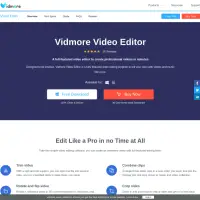 Vidmore est un outil pour convertir plus de 200 formats vidéo.